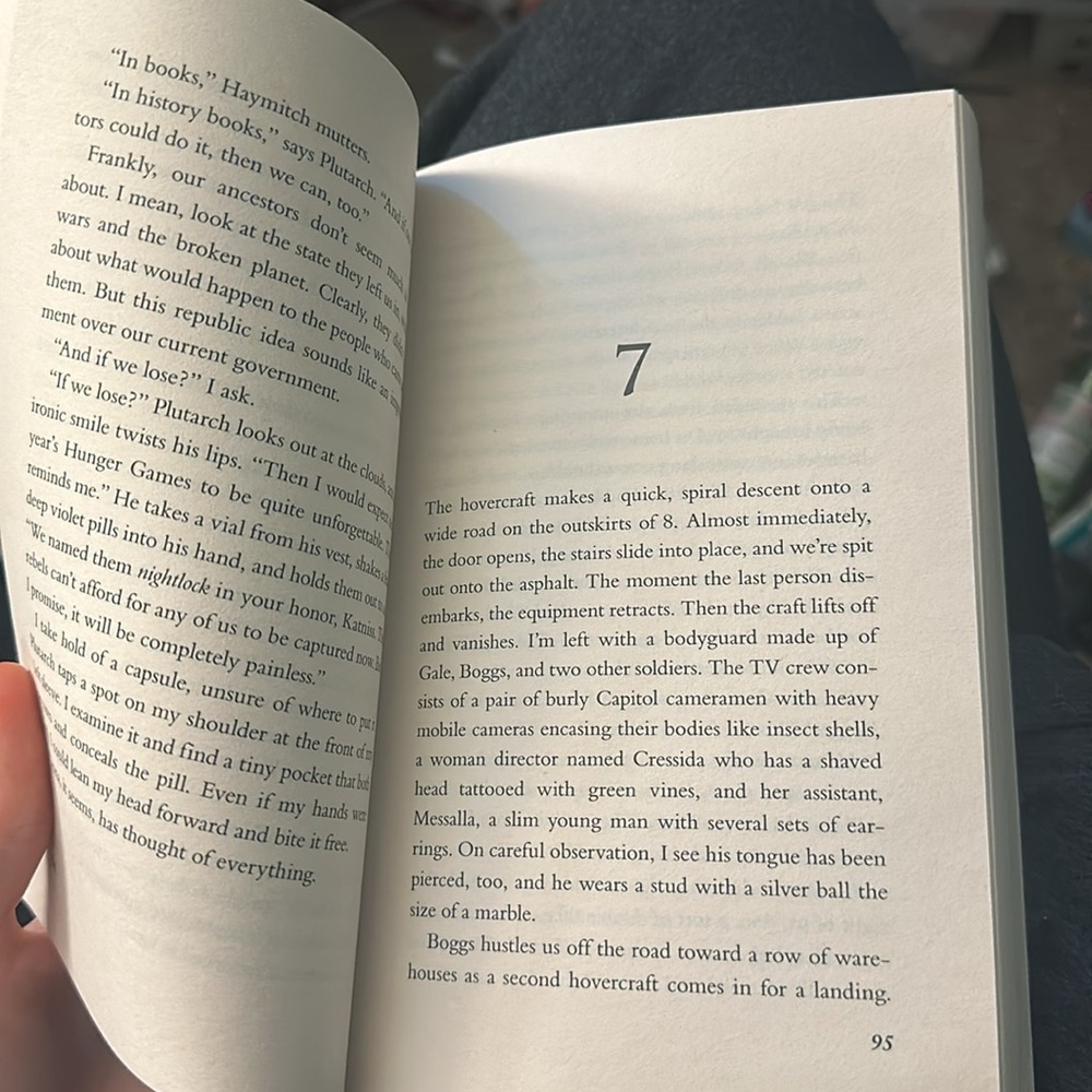 Mockingjay - Picture 3 of 3